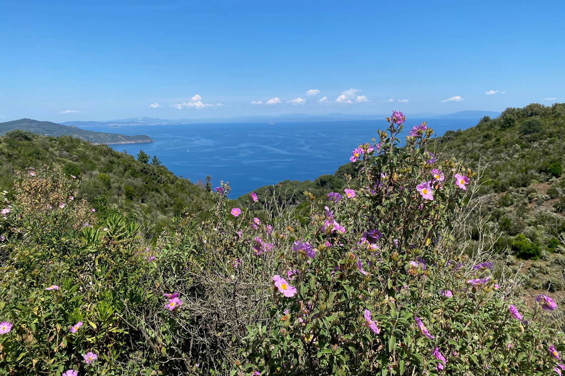 Zoom: Wanderreise Elba