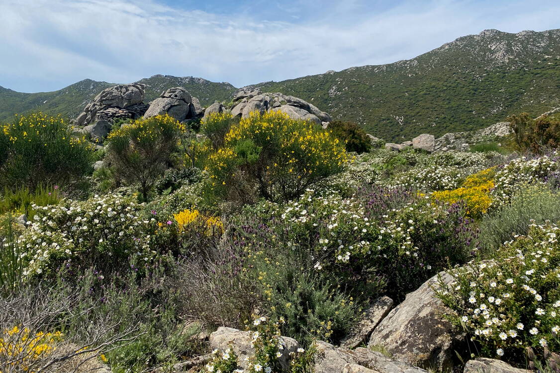 Zoom: Wanderreise Elba