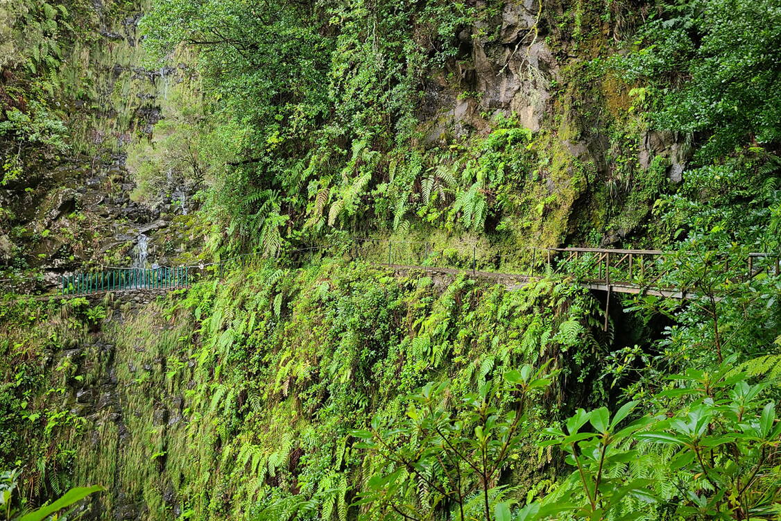 Zoom: Madeira Wanderreise