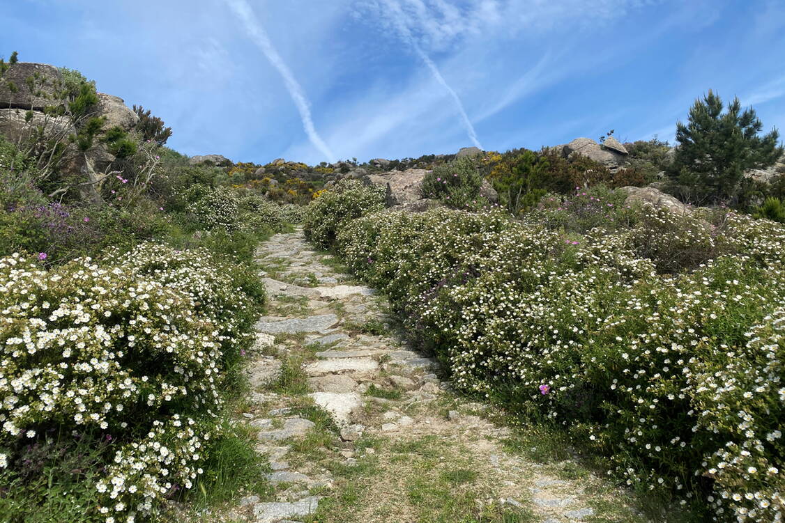 Zoom: Wanderreise Elba