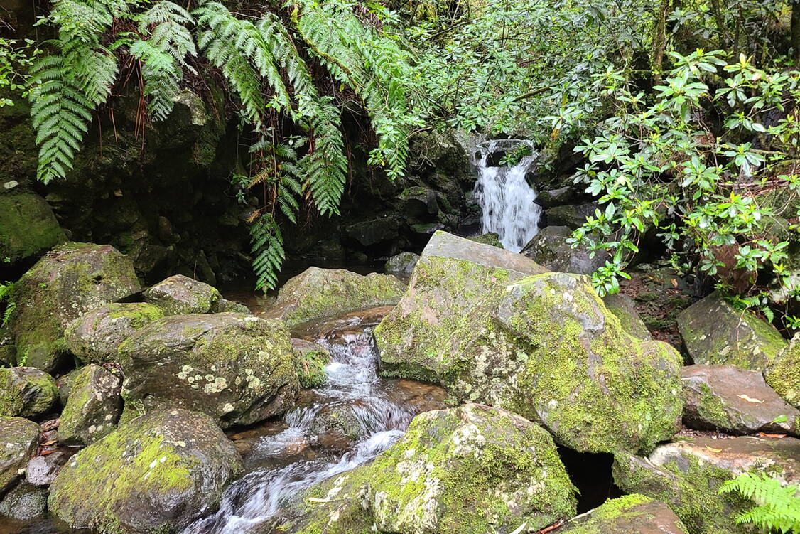 Zoom: Madeira Wanderreise