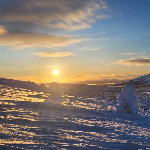 Schneeschuhtourenreise Finnisch Lappland Interne Seite:
