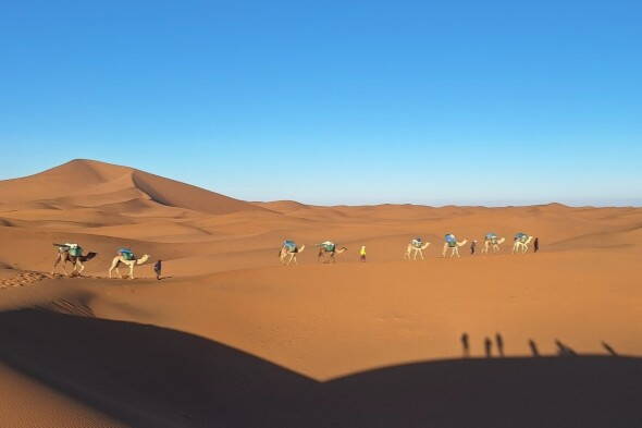 Trekkingreise Marokko vom Atlas zur Wüste Interne Seite: Marokko - vom Atlas zur Wüste