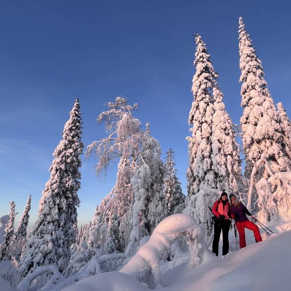 Finnisch Lappland Schneeschuhtouren Interne Seite:
