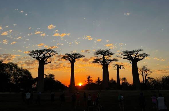 Erlebnis-Wanderreise Madagaskar Interne Seite: Wander- und Erlebnisreise Madagaskar