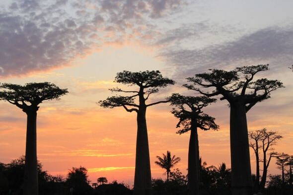 Wanderreise Madagaskar Interne Seite: Wander- und Erlebnisreise Madagaskar