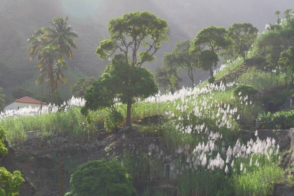 Wanderreise Kapverden Interne Seite: Wanderreise Kapverden