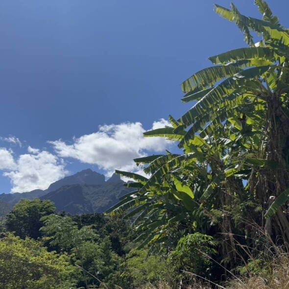 La Réunion Wanderreise Interne Seite: La Réunion - Wanderreise