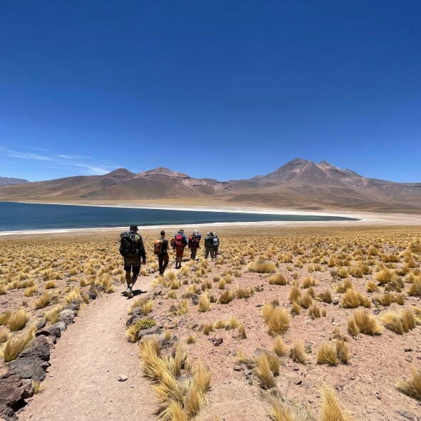 Nord-Chile-Bolivien Trekkingreise Interne Seite: Nord-Chile & Bolivien mit Besteigung