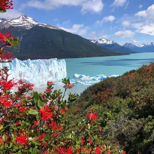 Patagonien Wanderreise Interne Seite: Patagonien Wanderreise