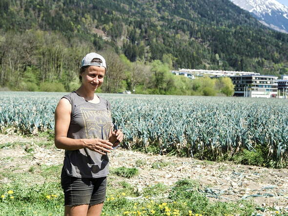 Zoom: Christine Schär arbeitet als Erntehelferin